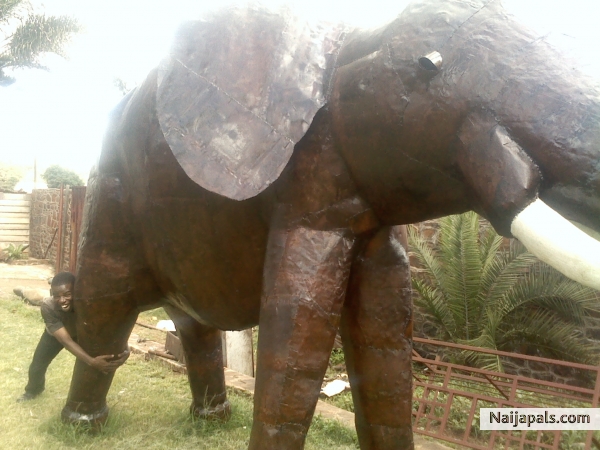 elephant jump start - click for next photo