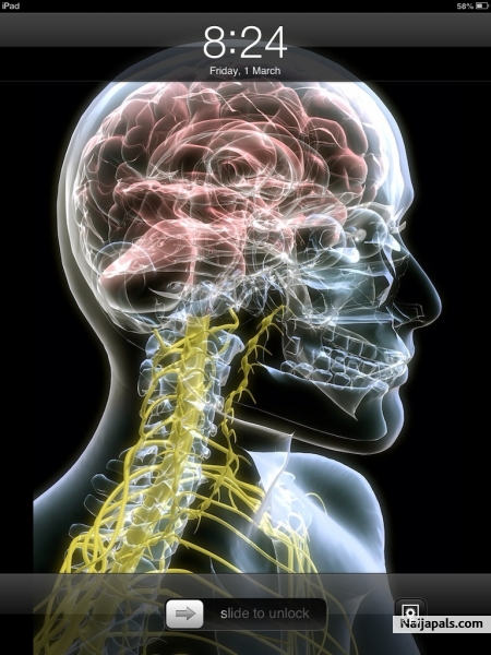 My CNS - click for next photo