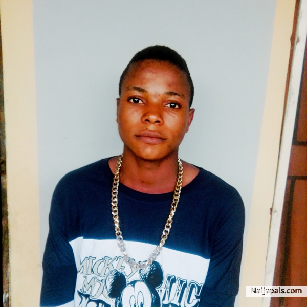 - click for next photo