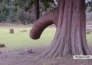 Mind ur Buz - click for next photo