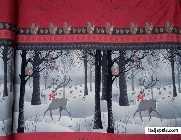 naijapals christmax wall-paper, 2022 Dec - click for next photo