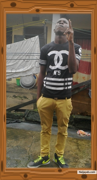 amo king - click for next photo