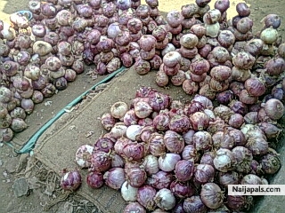 Onions na gold 4 naija nw - click for next photo