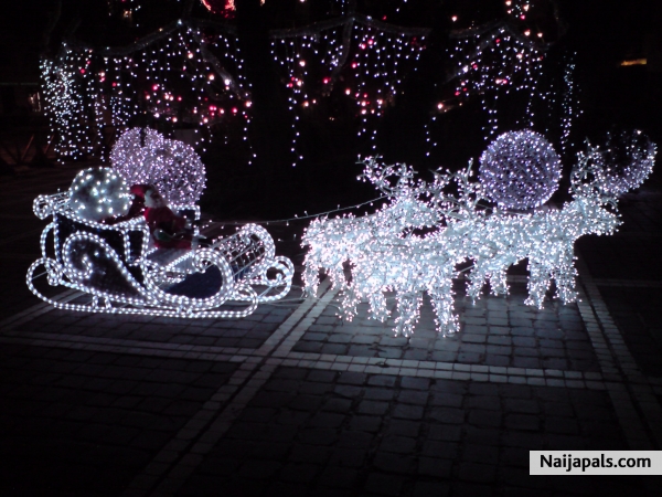 Christmas lights - click for next photo