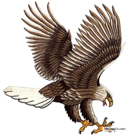fling like an eagle - click for next photo
