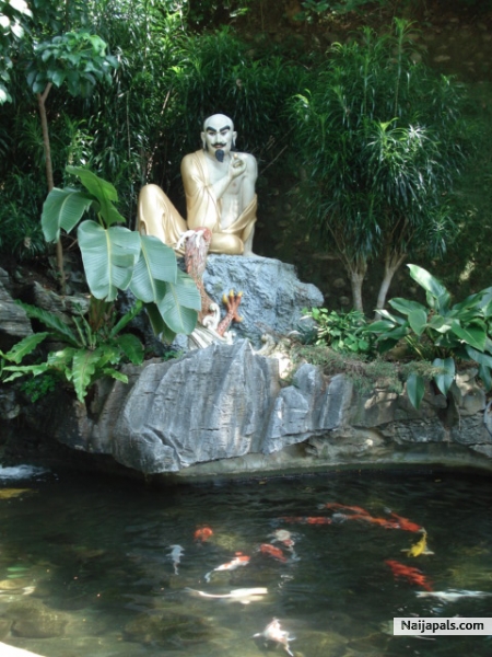 g@y MonK??? - click for next photo