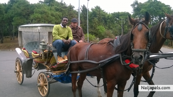 on chariot - click for next photo