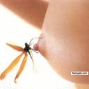 wonders shall never end - click for next photo