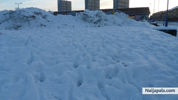 Trip of Snow not salt - click for next photo