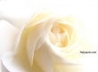temmanuelbohembe@yahoo.com - click for next photo