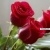 For U ..... - click for next photo