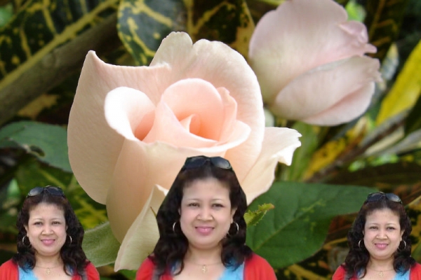  - click for next photo
