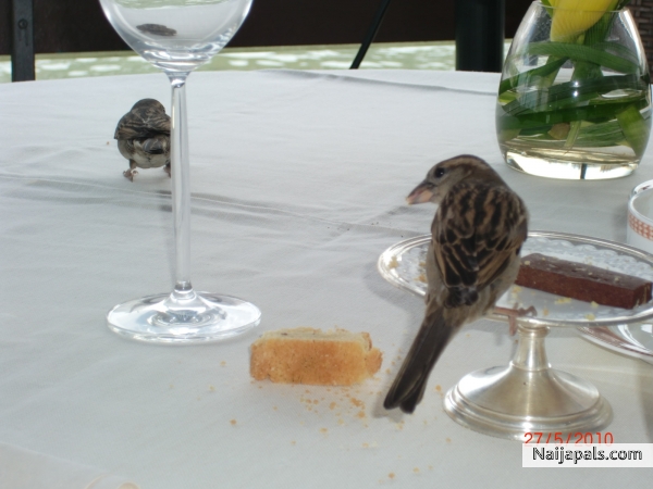 Hmmmmmmmmmmmmmm Yummy!!! - click for next photo