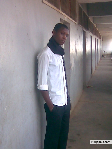 Pic - click for next photo