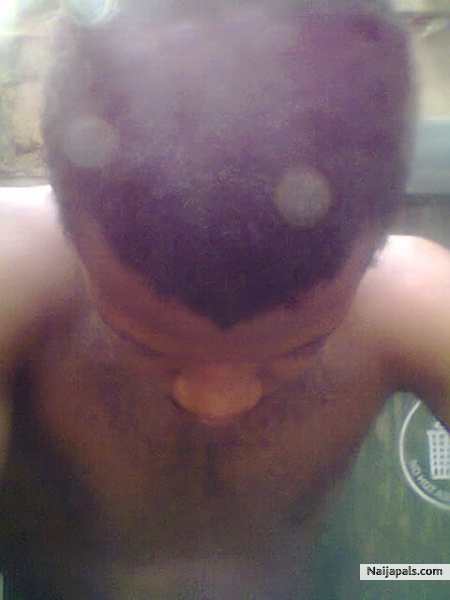  - click for next photo