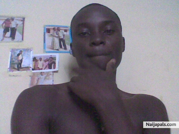 Fine pixs - click for next photo