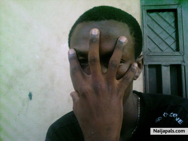  - click for next photo