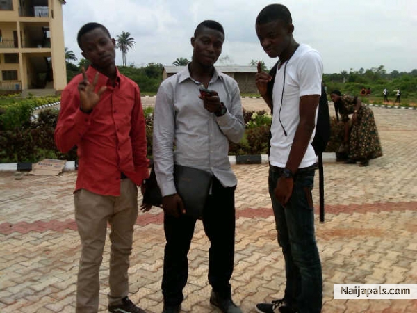 me and ma niggas - click for next photo
