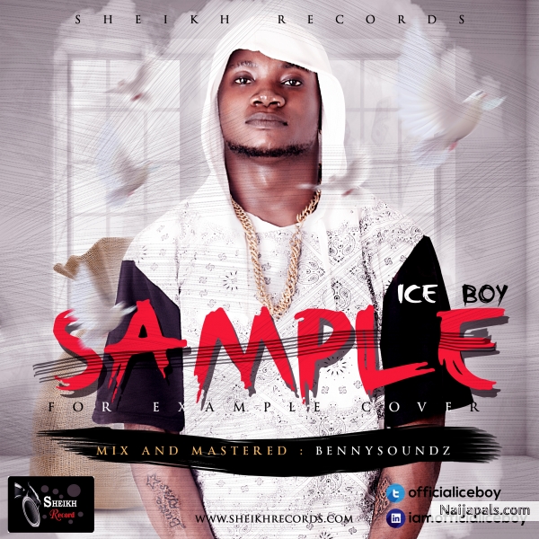 iceboy-sample-for-example(cover) - click for next photo