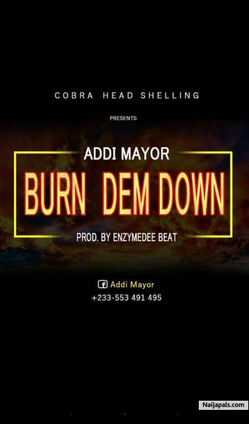 Burn Dem Down prod.Enzyme Dee beatz