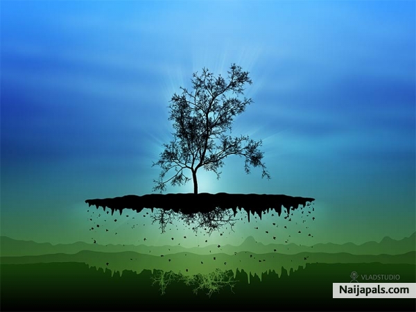 SAVE THE MOTHER EARTH - click for next photo