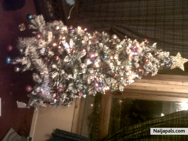 happy christmas everyone - click for next photo