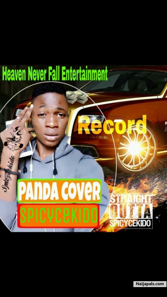 panda cover