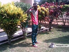  - click for next photo