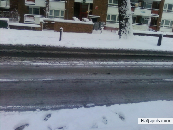 snowy - click for next photo