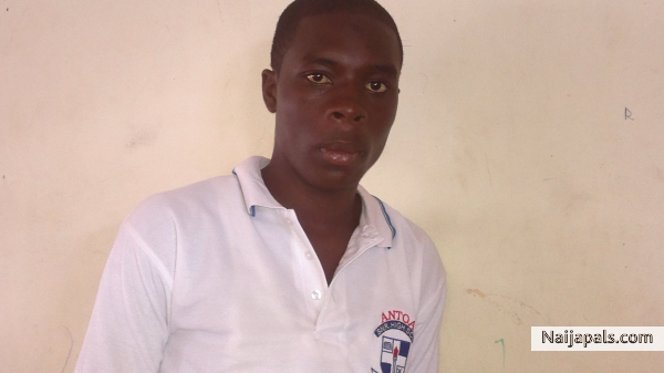  - click for next photo