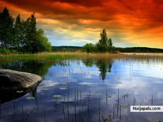 beautyful - click for next photo