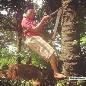 palm wine - click for next photo