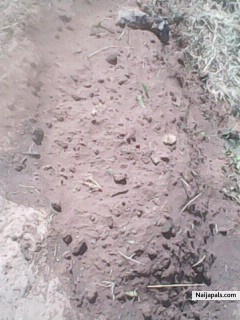  - click for next photo