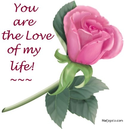 Love passion - click for next photo