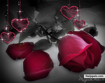 just for loading - click for next photo