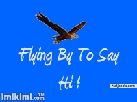 i believe i can fly man - click for next photo