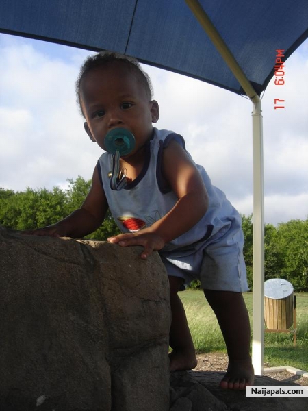 darius - click for next photo