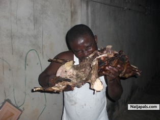 come join me, africa antilop - click for next photo