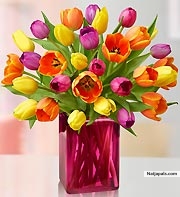  - click for next photo