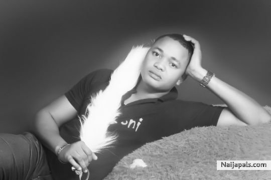 HARVEY - click for next photo