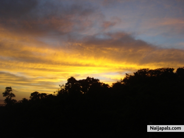I love nature - click for next photo