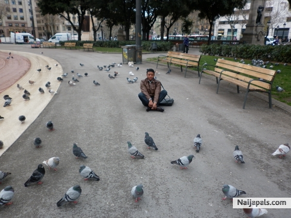  - click for next photo