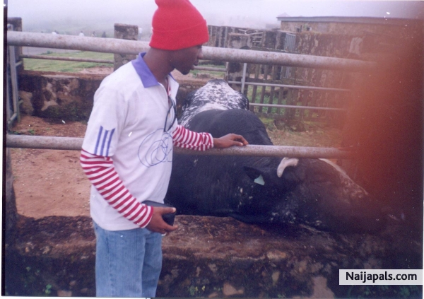 im at obudu cattle ranch - click for next photo