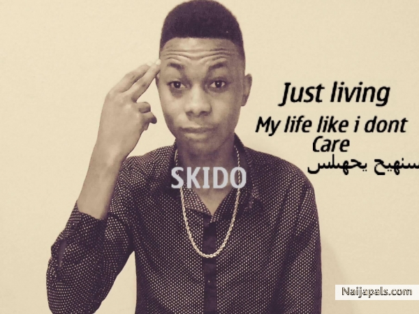 SKIDO PHOTO - click for next photo
