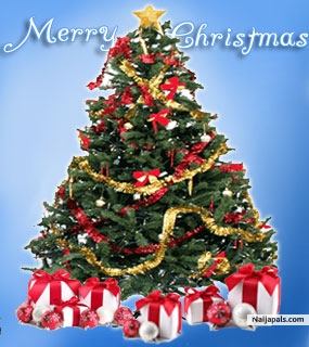 christmas tree - click for next photo