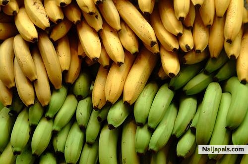 Be careful with the peels. - click for next photo