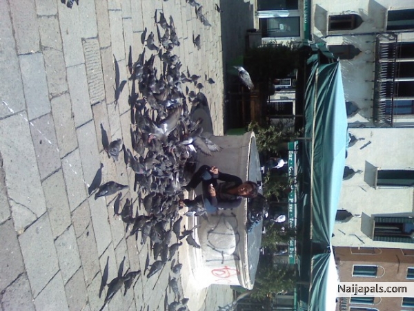  - click for next photo