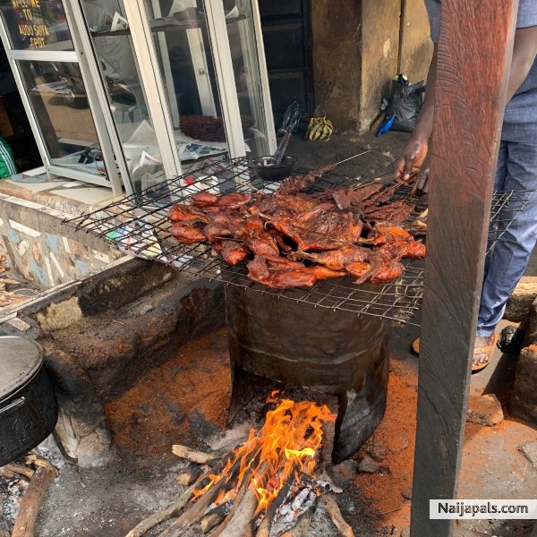 suya! my hang around tussendoortje! - click for next photo