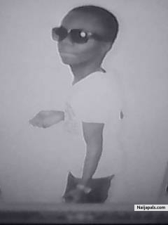 hollaski eyena - click for next photo