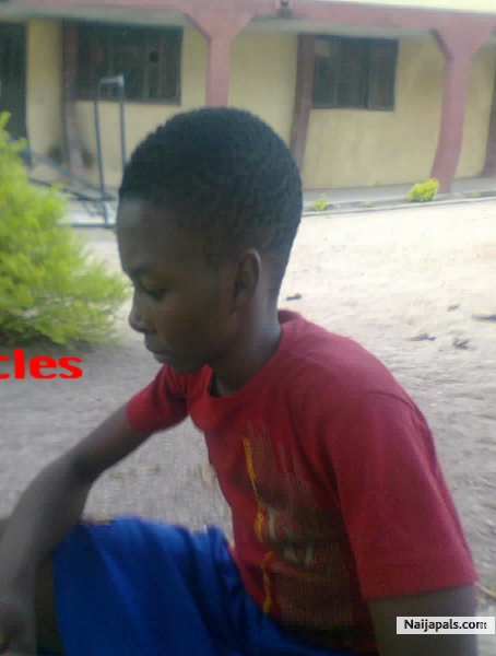  - click for next photo